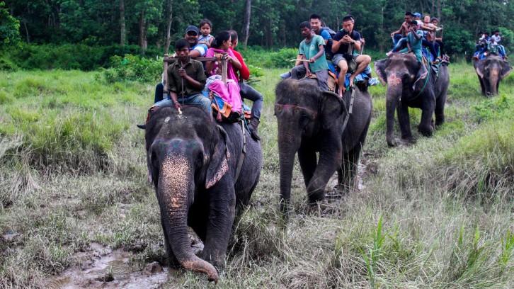 Nature and Wildlife Tours in Nepal